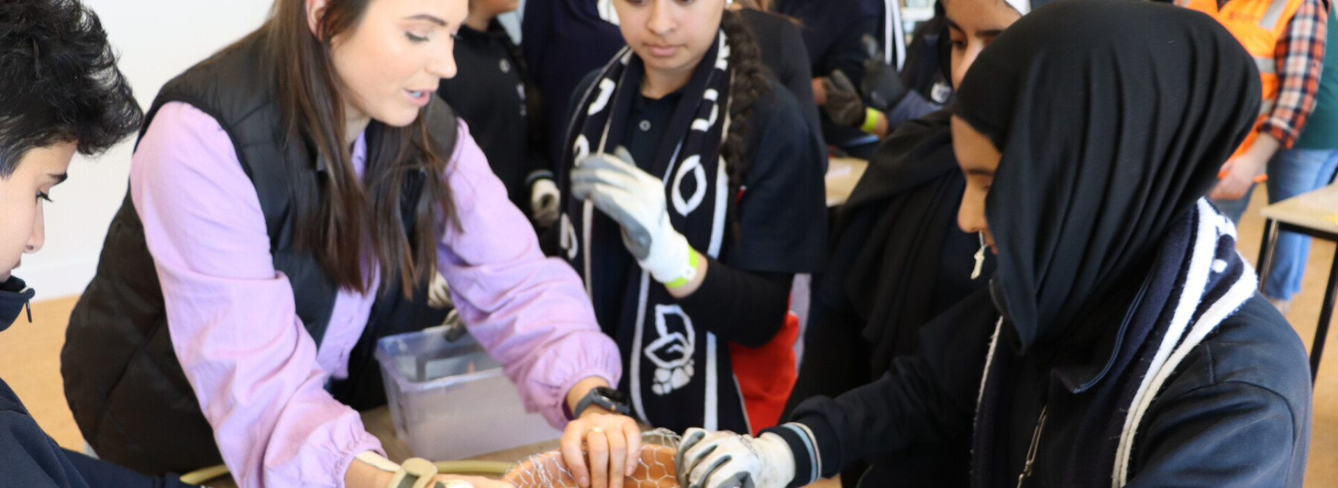 Native bees get a boost at Wollert Secondary College