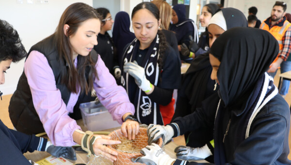 Native bees get a boost at Wollert Secondary College
