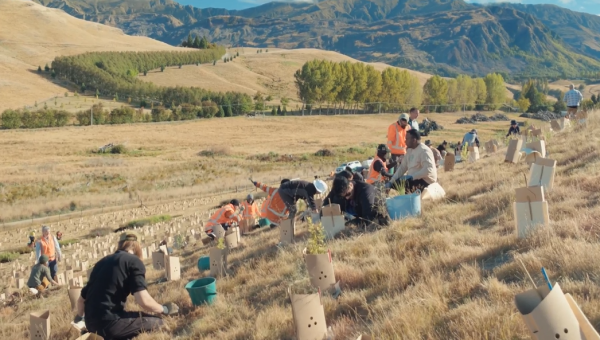 Nature Restoration and Relocation