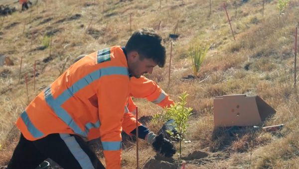 World Environment Day 2024