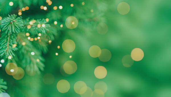 2025 End of Year Office Closure Information